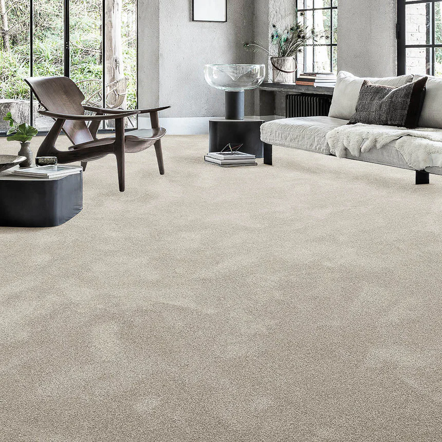 Elegant carpeted interior